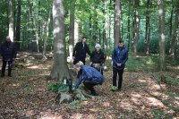 ein Bild aus dem Album