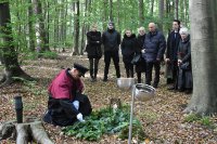 ein Bild aus dem Album