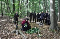 ein Bild aus dem Album