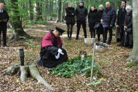 ein Bild aus dem Album