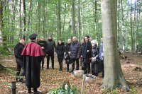 ein Bild aus dem Album