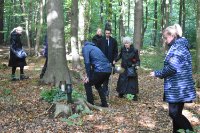 ein Bild aus dem Album