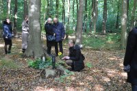 ein Bild aus dem Album