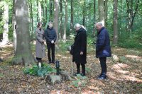 ein Bild aus dem Album