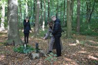 ein Bild aus dem Album