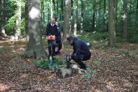 ein Bild aus dem Album