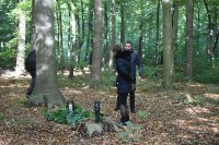 ein Bild aus dem Album