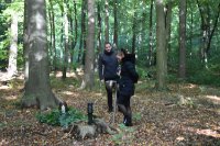 ein Bild aus dem Album