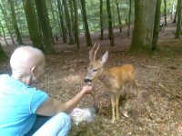 ein Bild aus dem Album