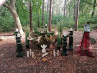 ein Bild aus dem Album