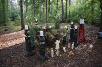 ein Bild aus dem Album