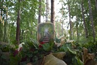 ein Bild aus dem Album