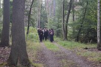 ein Bild aus dem Album