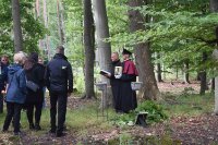 ein Bild aus dem Album